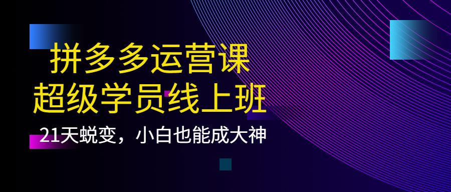 拼多多运营课：超级学员线上班，21天蜕变，小白也能成大神-枫叶微课堂