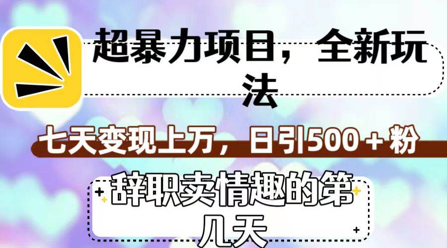 超暴利项目，全新玩法（辞职卖情趣的第几天），七天变现上万，日引500+粉-枫叶微课堂