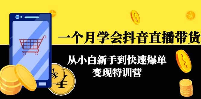 一个月学会抖音直播带货：从小白新手到快速爆单变现特训营(63节课)-枫叶微课堂
