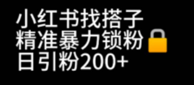 小红书找搭子暴力精准锁粉+引流日引200+精准粉-枫叶微课堂