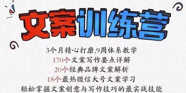 龙小天《文案训练营》全面系统解决文案写作难题！-枫叶微课堂