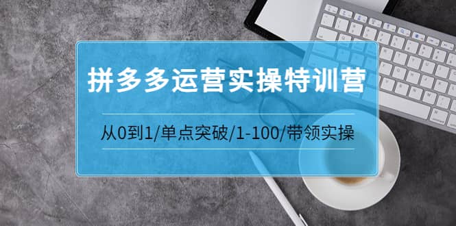 拼多多运营实操特训营：从0到1/单点突破/1-100/带领实操 价值2980元-枫叶微课堂