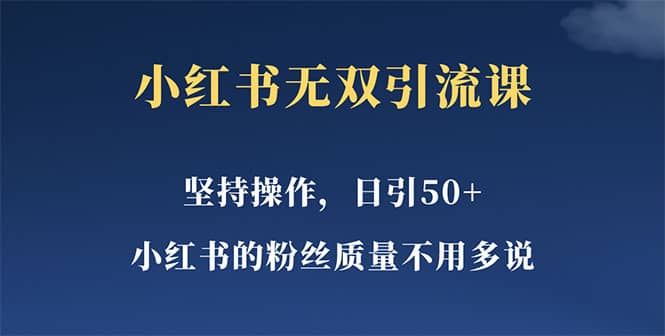小红书无双课一天引50+女粉，不用做视频发视频，小白也很容易上手拿到结果-枫叶微课堂