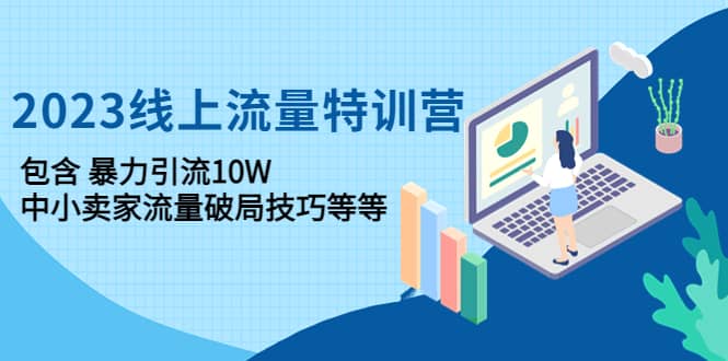 2023线上流量特训营：中小卖家流量破局技巧等等-枫叶微课堂