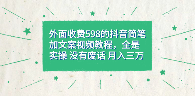 外面收费598抖音简笔加文案教程，全是实操 没有废话 月入三万（教程+资料）-枫叶微课堂