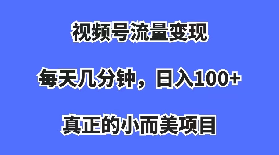 视频号流量变现，每天几分钟，收入100+，真正的小而美项目-枫叶微课堂