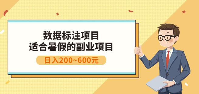 副业赚钱：人工智能数据标注项目，简单易上手，小白也能日入200+-枫叶微课堂