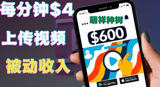 只需要上传视频然后每分钟赚4美元项目：详细操作步骤，新手也可操作-枫叶微课堂