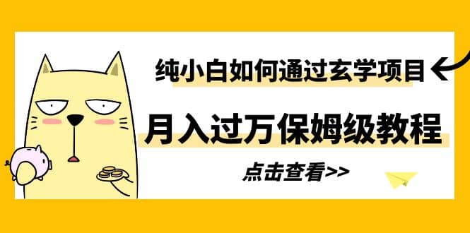 纯小白如何通过玄学项目月入过万保姆级教程-枫叶微课堂