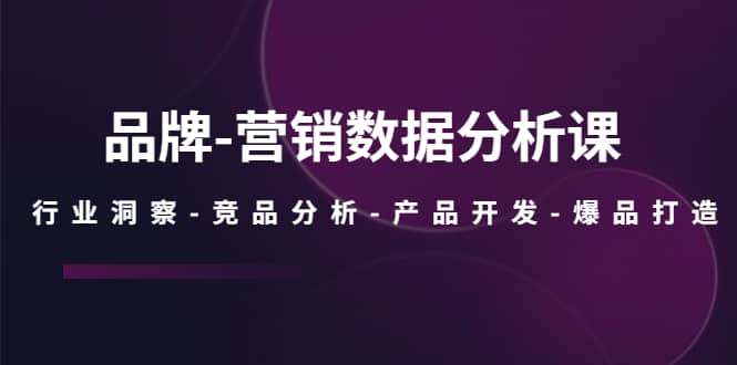 品牌-营销数据分析课，行业洞察-竞品分析-产品开发-爆品打造-枫叶微课堂