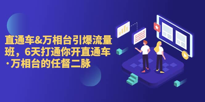 直通车+万相台引爆流量班，6天打通你开直通车·万相台的任督 二脉-枫叶微课堂