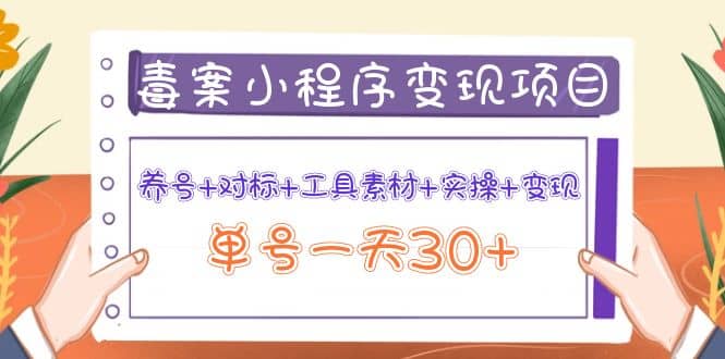 毒案小程序变现项目：养号+对标+工具素材+实操+变现-枫叶微课堂