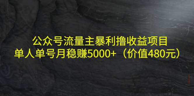 公众号流量主暴利撸收益项目，单人单号月稳赚5000+（价值480元）-枫叶微课堂