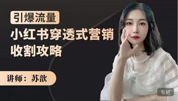 小红书穿透式营销收割攻略，引爆流量，助你玩转小红书-枫叶微课堂