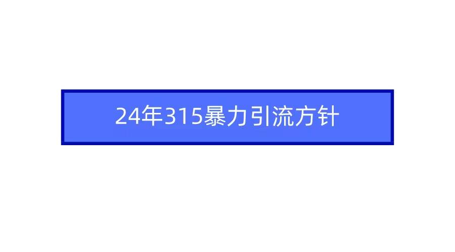 2024年315暴力引流方针-枫叶微课堂