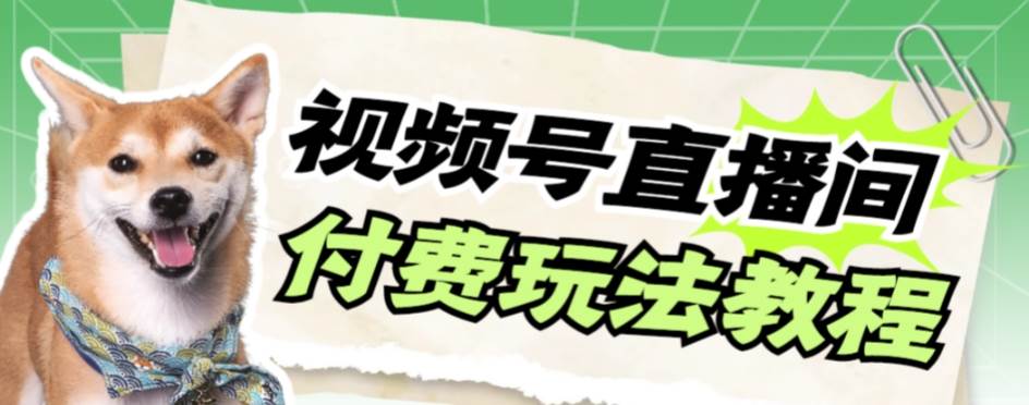 视频号美女付费无人直播，轻松日入500+【详细玩-枫叶微课堂