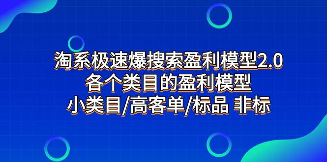 淘系极速爆搜索盈利模型2.0，各个类目的盈利模型，小类目/高客单/标品 非标-枫叶微课堂