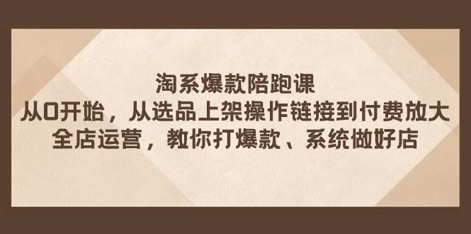 淘系爆款陪跑课 从选品上架操作链接到付费放大 全店运营 打爆款 系统做好店-枫叶微课堂