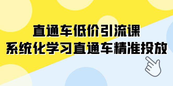 直通车-低价引流课，系统化学习直通车精准投放（14节课）-枫叶微课堂