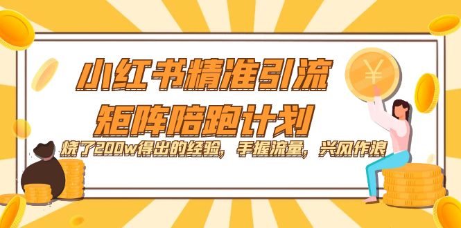 小红书精准引流·矩阵陪跑计划：烧了200w得出的经验，手握流量，兴风作浪！-枫叶微课堂
