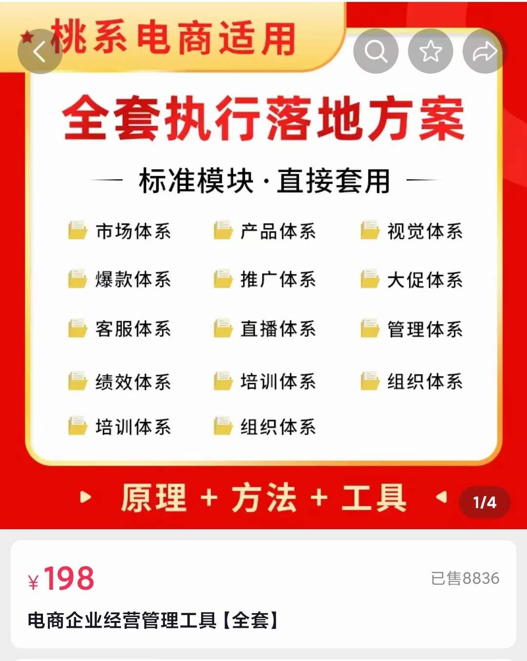 外面卖198·电商企业经营管理工具：全套执行落地方案 标准模块·直接套用-枫叶微课堂