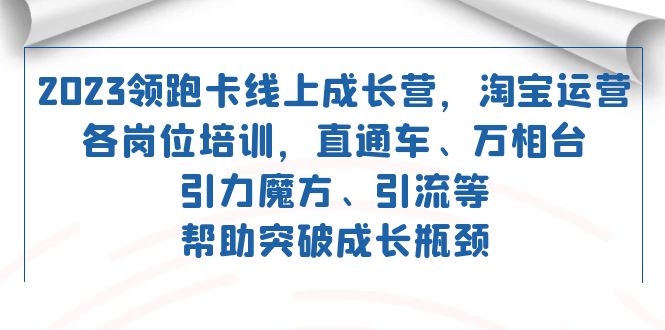 2023领跑·卡 线上成长营 淘宝运营各岗位培训 直通车 万相台 引力魔方 引流-枫叶微课堂