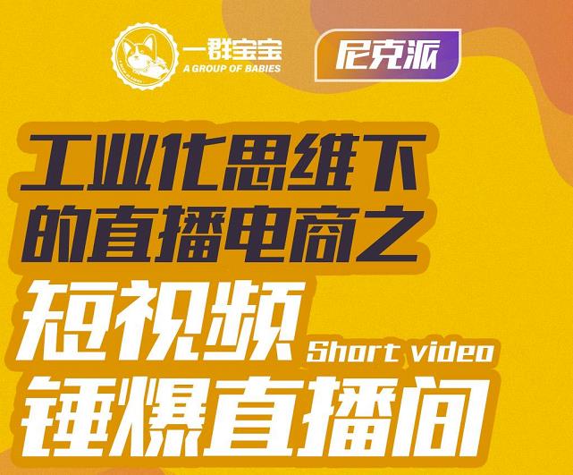 尼克派·工业化思维下的直播电商之短视频锤爆直播间，听话照做执行爆单-枫叶微课堂
