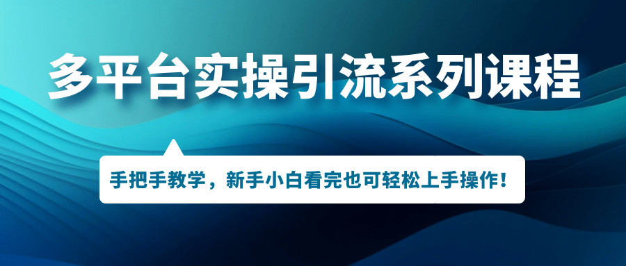 多平台实操引流系列课程，手把手教学，新手小白看完也可轻松上手引流操作-枫叶微课堂