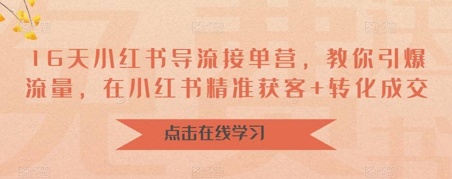 16天-小红书 导流接单营，教你引爆流量，在小红书精准获客+转化成交-枫叶微课堂