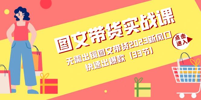 图文带货实战课：无需出镜图文带货2023新风口，快速出爆款（33节）-枫叶微课堂