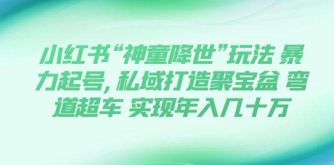 小红书“神童降世”玩法 暴力起号,私域打造聚宝盆 弯道超车 实现年入几十万-枫叶微课堂