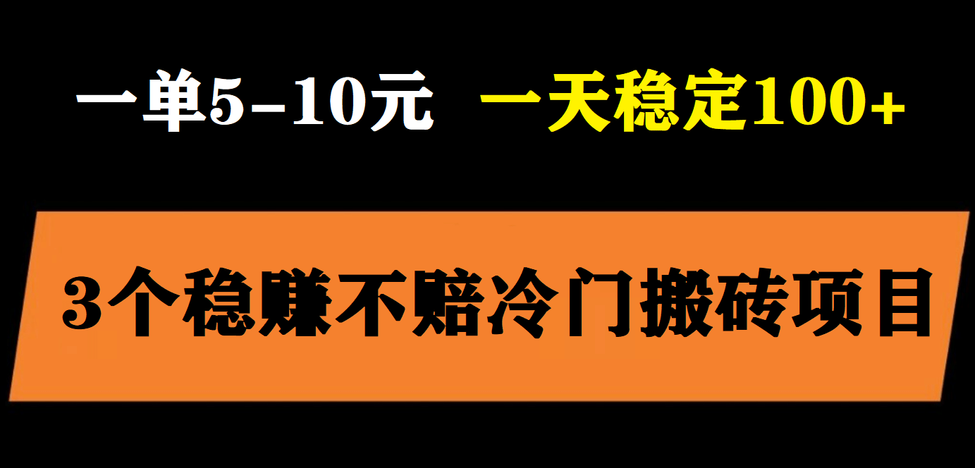 3个最新稳定的冷门搬砖项目，小白无脑照抄当日变现日入过百-枫叶微课堂