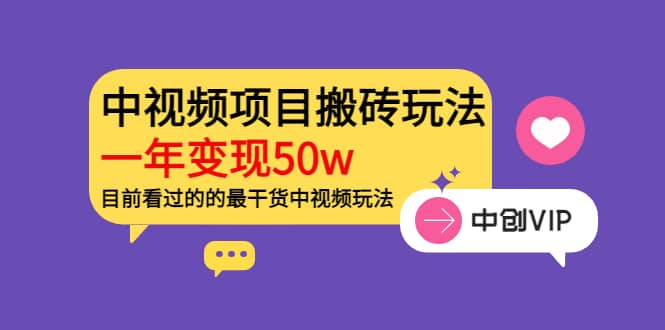 《老吴·中视频项目搬砖玩法，一年变现50w》目前看过的的最干货中视频玩法-枫叶微课堂