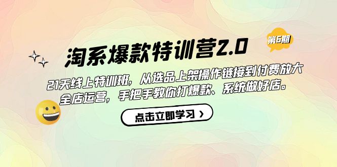 淘系爆款特训营2.0【第六期】从选品上架到付费放大 全店运营 打爆款 做好店-枫叶微课堂
