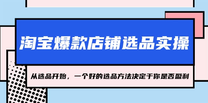 淘宝爆款店铺选品实操，2023从选品开始，一个好的选品方法决定于你是否盈利-枫叶微课堂