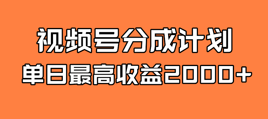 全新蓝海 视频号掘金计划 日入2000+-枫叶微课堂