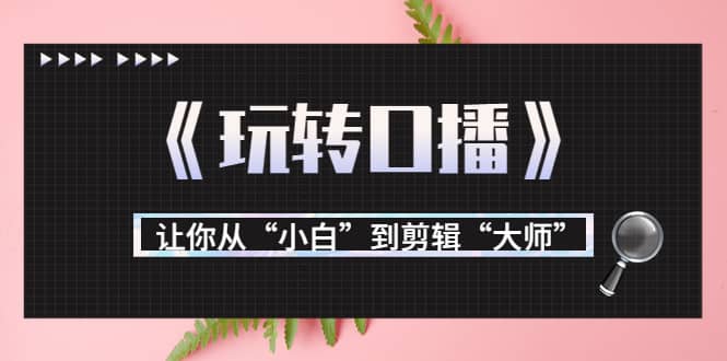 月营业额700万+大佬教您《玩转口播》让你从“小白”到剪辑“大师”-枫叶微课堂