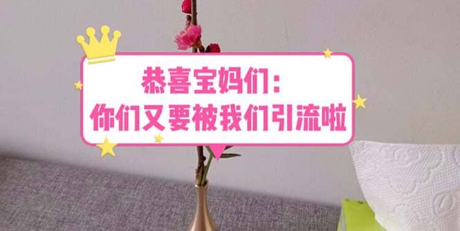 恭喜宝妈们：你们又要被我们引流了（教程+222g资料）-枫叶微课堂