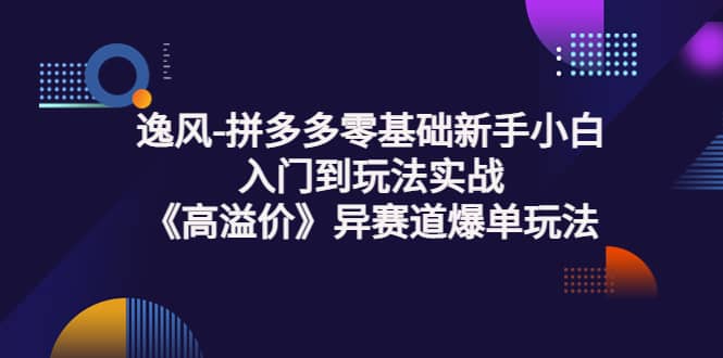 拼多多零基础新手小白入门到玩法实战《高溢价》异赛道爆单玩法实操课-枫叶微课堂