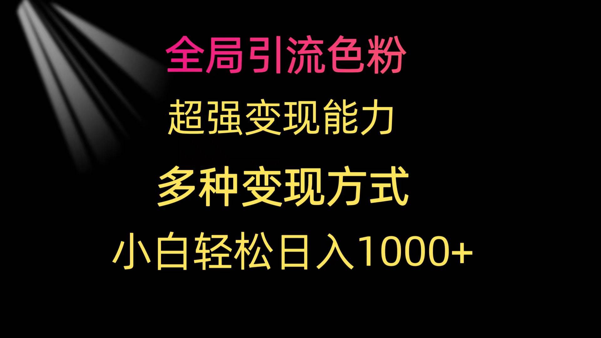 全局引流色粉 超强变现能力 多种变现方式 小白轻松日入1000+-枫叶微课堂