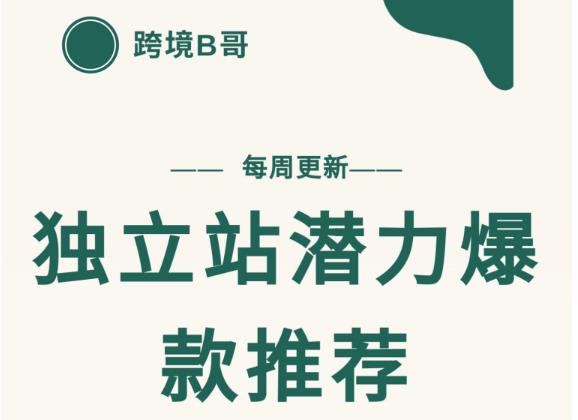 【跨境B哥】独立站潜力爆款选品推荐，测款出单率高达百分之80（每周更新）-枫叶微课堂