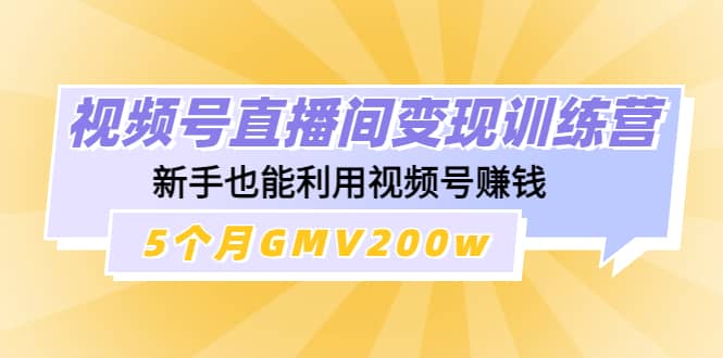 视频号直播间变现训练营-枫叶微课堂