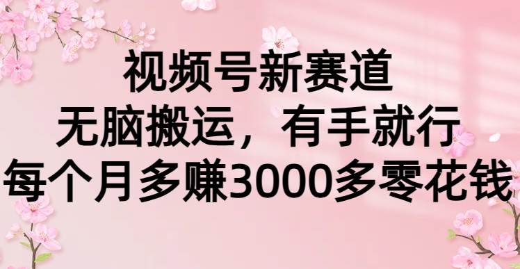 视频号新赛道，无脑搬运，有手就行，每个月多赚3000多零花钱-枫叶微课堂