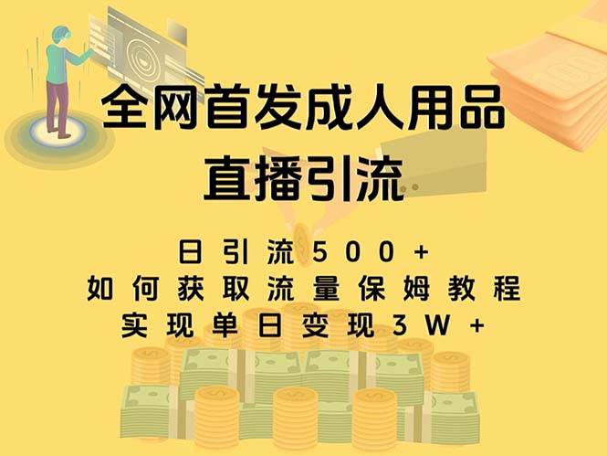 最新全网独创首发，成人用品直播引流获客暴力玩法，单日变现3w保姆级教程-枫叶微课堂