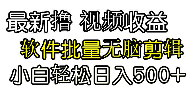 发视频撸收益，软件无脑批量剪辑，第一天发第二天就有钱-枫叶微课堂