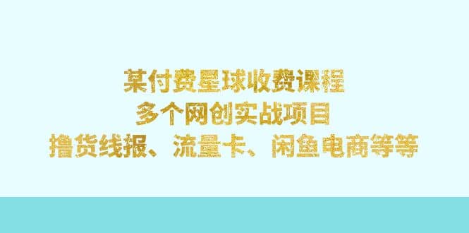 某付费星球课程：多个网创实战项目，撸货线报、流量卡、闲鱼电商等等-枫叶微课堂