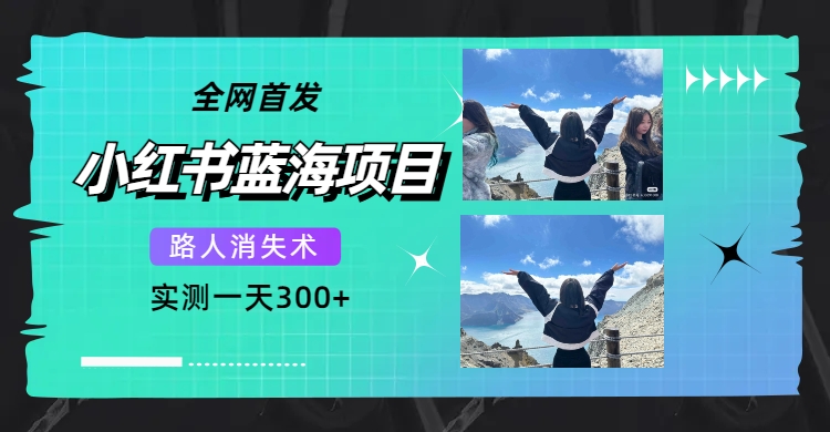 全网首发，小红书蓝海项目，路人消失术，实测一天300+（教程+工具）-枫叶微课堂