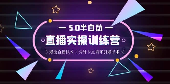 蚂蚁·5.0半自动直播2345打法，半自动爆流直播技术+5分钟卡点循环引爆话术-枫叶微课堂