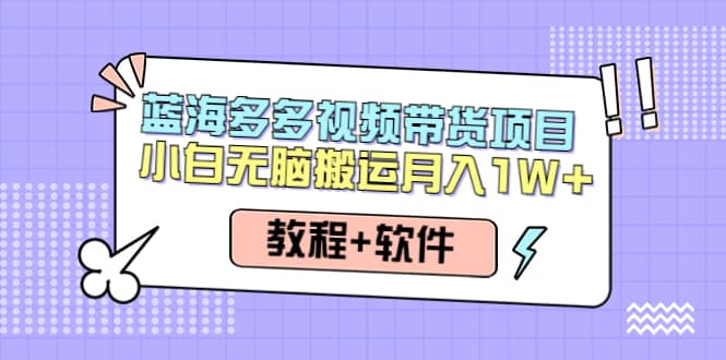 人人都能操作的蓝海多多视频带货项目 小白无脑搬运（教程+软件）-枫叶微课堂