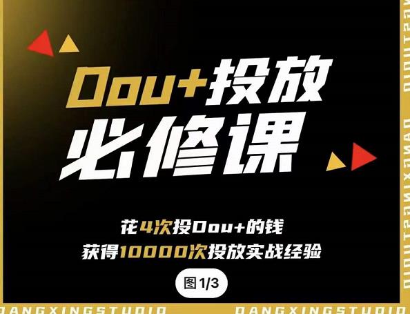 代同学DOU+投放训练营，用付费流量撬动大额自然流量，过得超额变现转化-枫叶微课堂